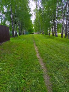 Покос травы на аллее
