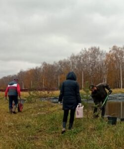 Облагораживание сквера и пруда
