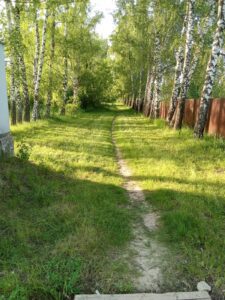 Покосили аллеи.